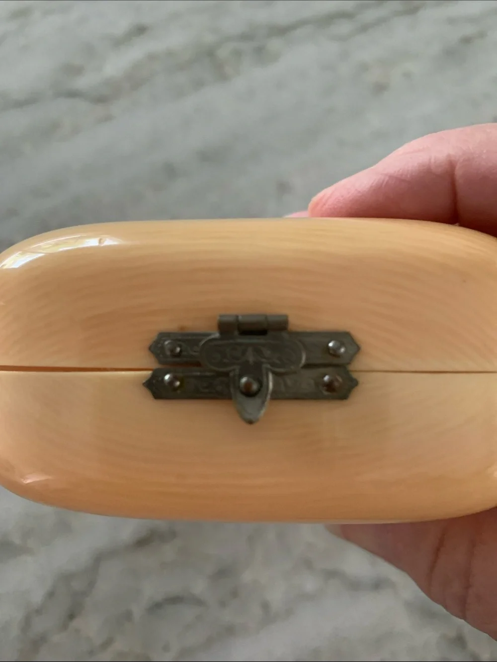 Vintage celluloid, hinged soap box.